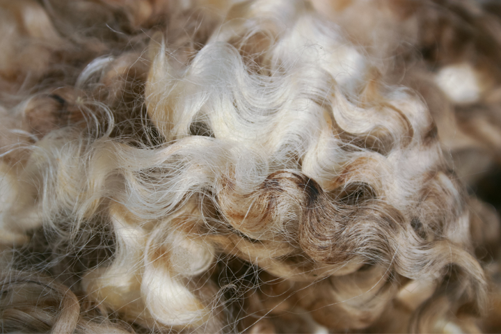 Close up image of wool