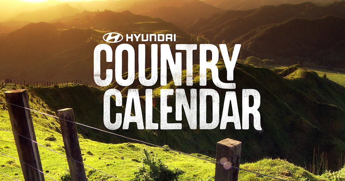 10 Takeaways from Wisewool Country Calendar