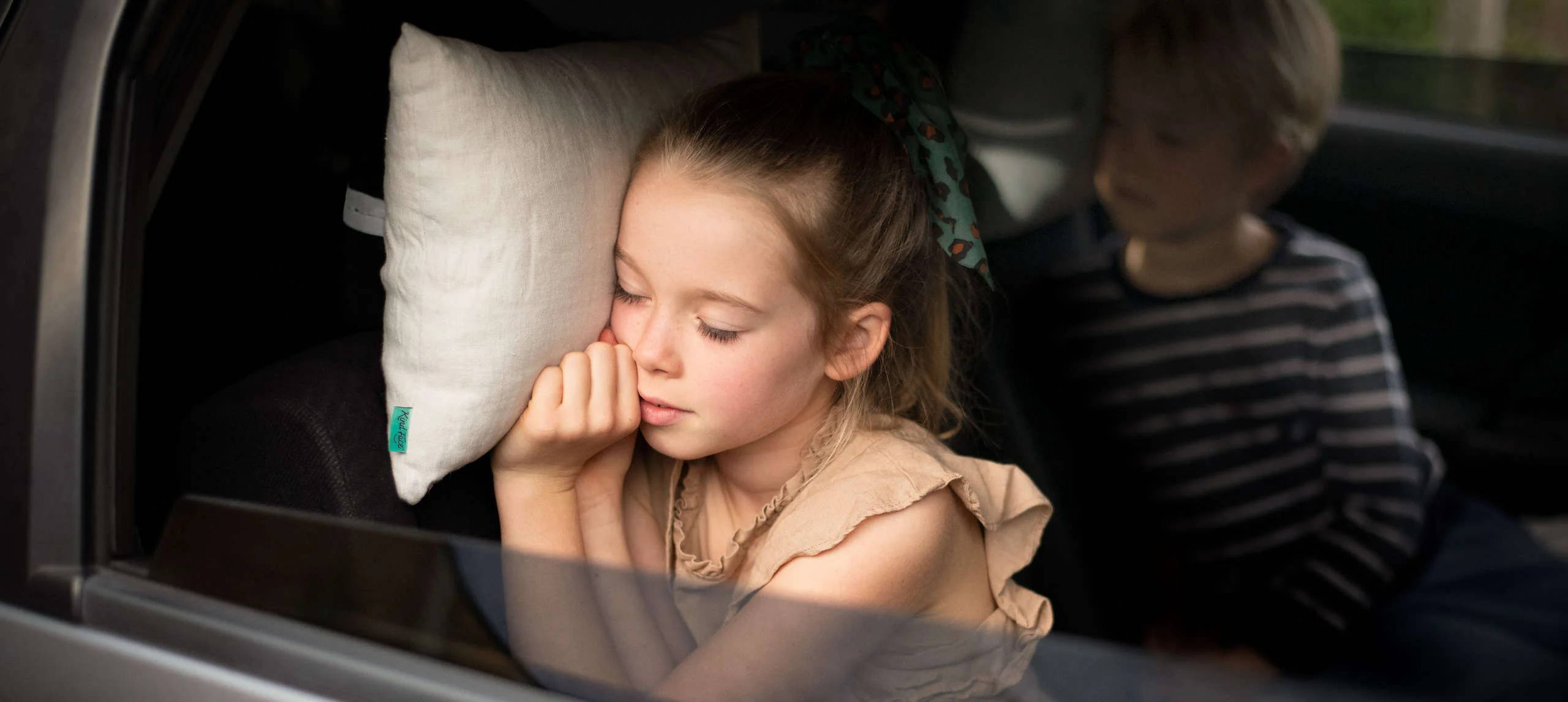 Could this be the Best Travel Pillow NZ Has to Offer? - Made from Wool