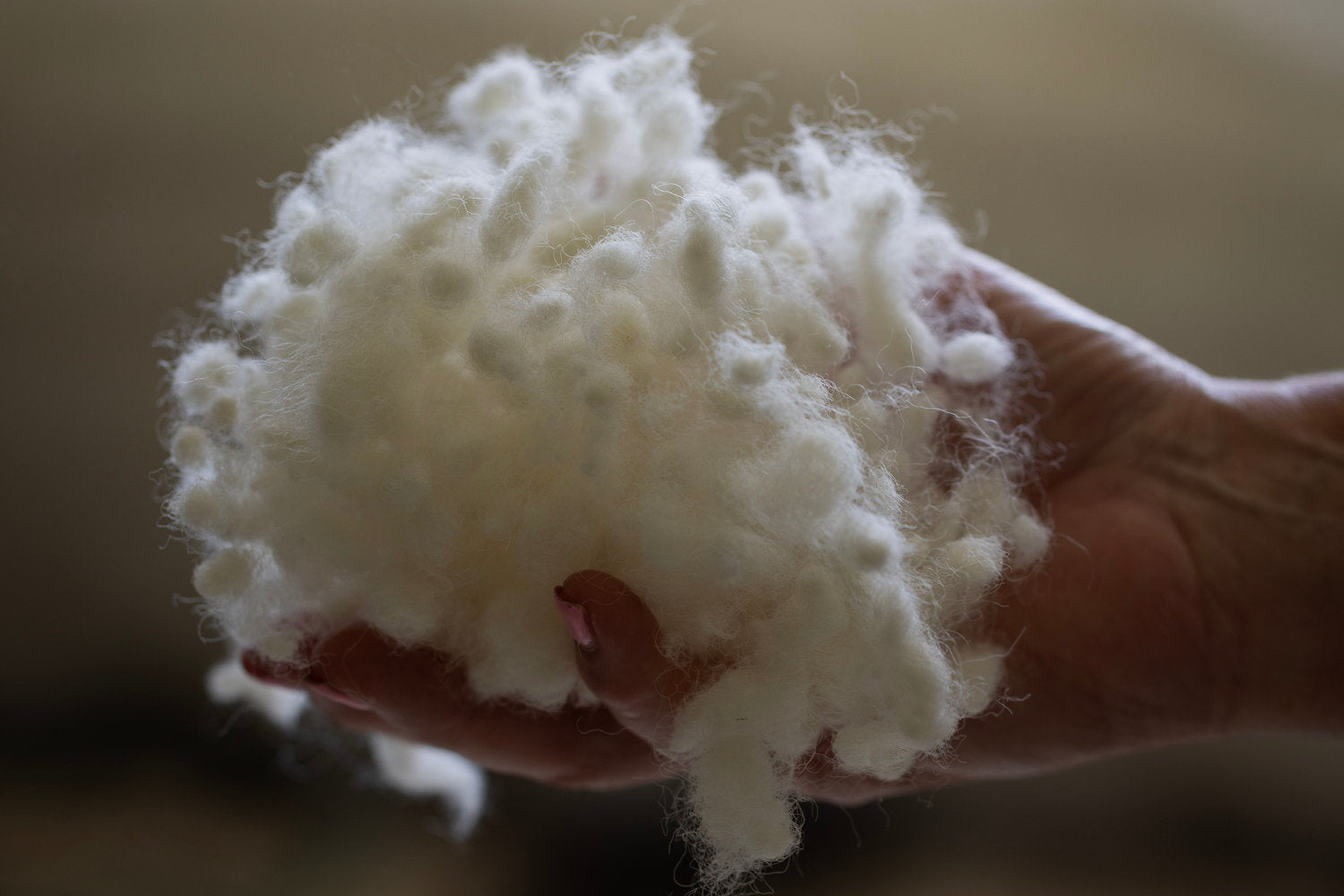 Felted NZ Wool Cushion
