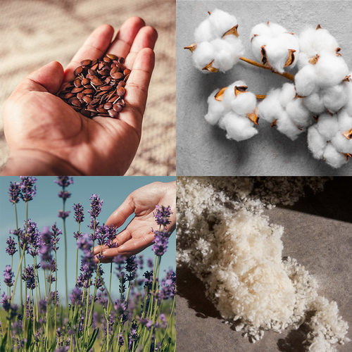 grid.png__PID:b94ce202-e7e7-4f69-9fe8-faa2bd70339b